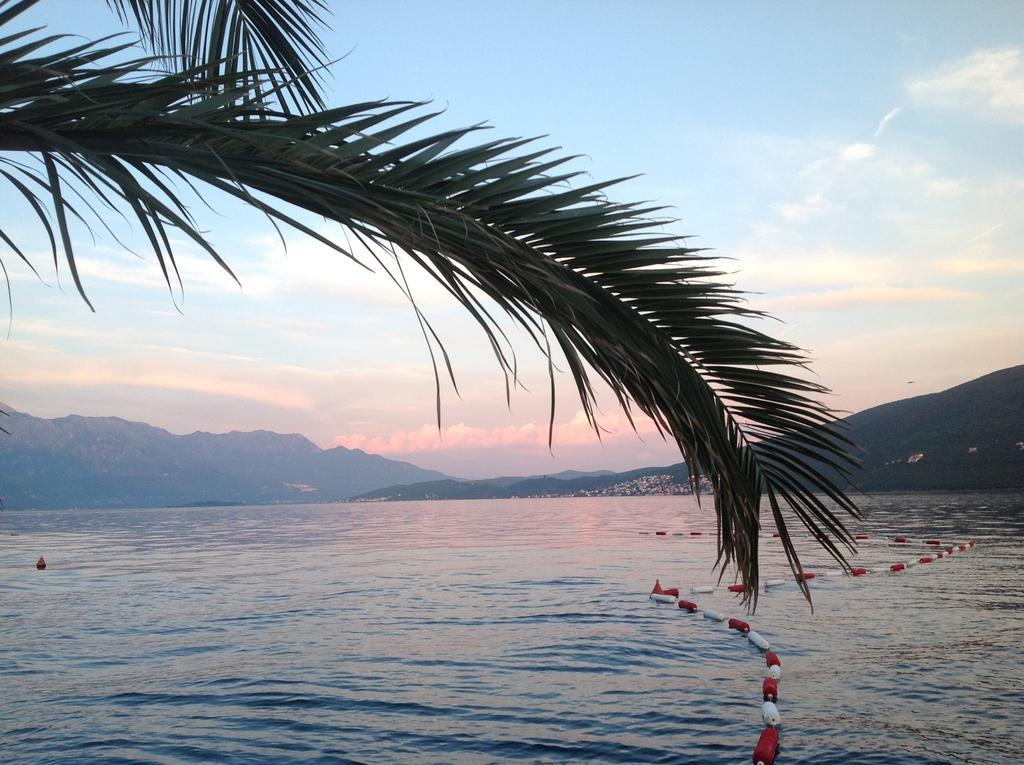 Villa Alla Bed And Breakfast Herceg Novi Exteriér fotografie